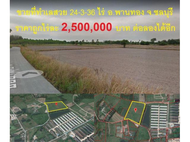 #ที่สวยขายถูก#ขายที่ดินทำเลดีพานทอง 24-3-36 ไร่ ติดถนนเข้าคมนาคมสะดวก อ.พานทอง จ.ชลบุรี ไร่ละ 2,500,000 บาท