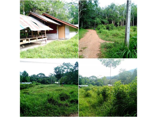 ขายที่ดินควนจง พร้อมบ้านพักสวน