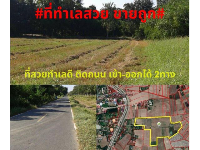 #ที่สวยขายถูก#ขายที่ดินทำเลดี อ.เดิมบางนางบวช จ.สุพรรณบุรี ติดถนนสาย340 เข้าออกได้ 2 ทาง พื้นที่ 80-1-50 ไร่ ไร่ละ 3แสน