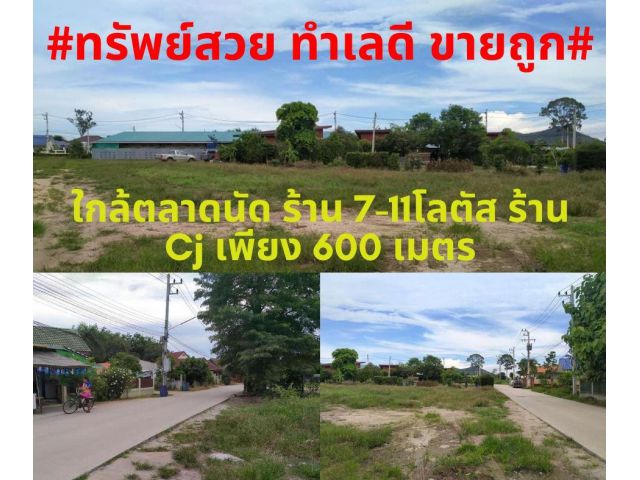 #ที่สวยขายถูก#ขายที่ดินทำเลดี 1ไร่ 2 งาน ต.สำนักท้อน อ.บ้านฉาง จ.ระยอง ใกล้ตลาดนัด ร้าน 7-11โลตัส ร้าน Cj เพียง 600เมตร