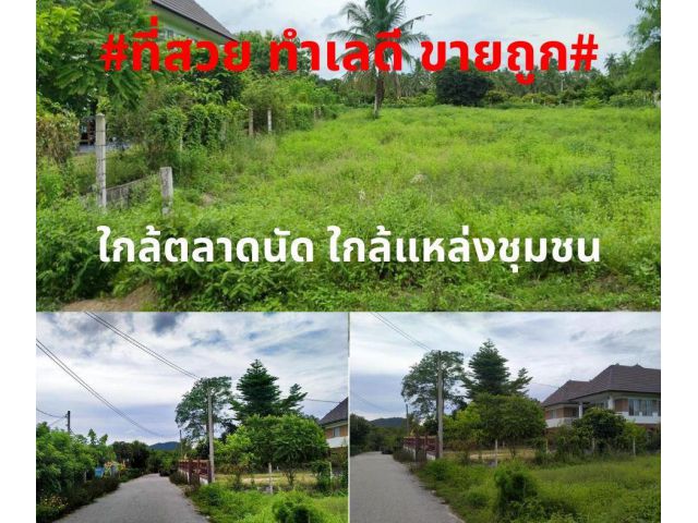 #ที่สวยขายถูก#ขายที่ดินทำเลดี 377ตรว. ต.สำนักท้อน อ.บ้านฉาง จ.ระยอง ติดถนนคมนาคมสะดวก ราคา2,500,000 บาท(ค่าโอนผู้ขายออก)