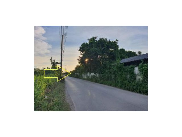 ขายที่ดินซอยสุสวาท คลอง4 ธัญบุรี-ลำลูกกา ราคาถูก
