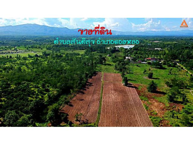 ขายที่ดิน ตำบลสันติสุข อำเภอดอยหล่อ จังหวัดเชียงใหม่