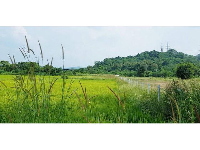 ขายที่วิวเขาล้อม 4-3-30 ไร่ แก่งคอย สระบุรี