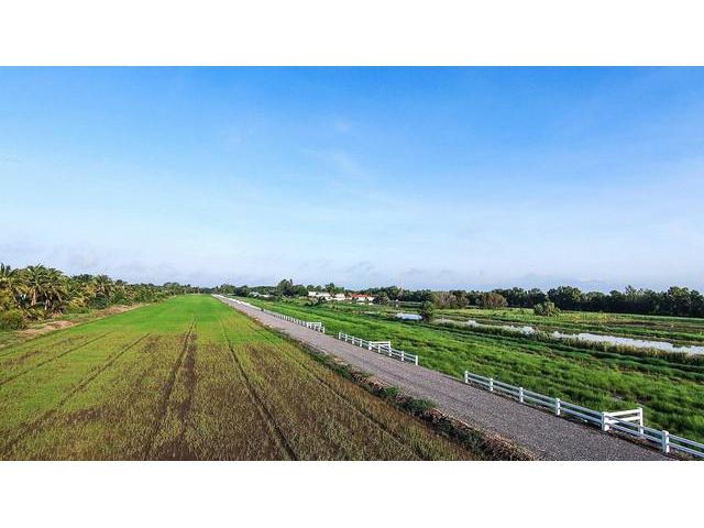 ขายที่ดินแปลงสวย คลอง 9 หนองเสือ ตะวันออก