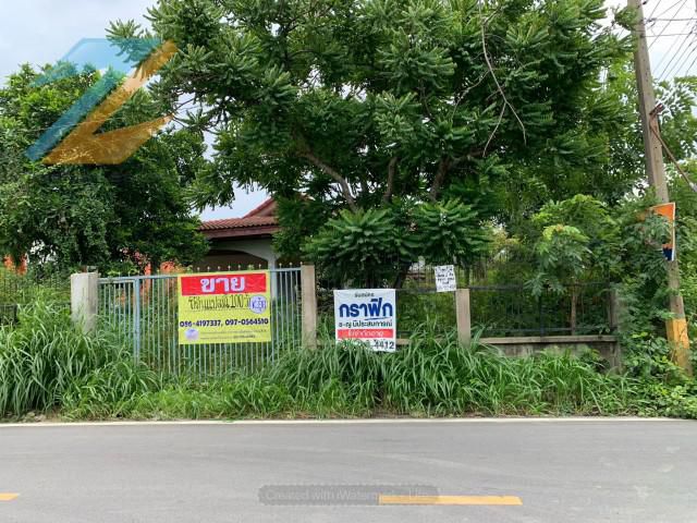 ขายที่ดิน 100 ตรว. ซอย ธารทอง ลำลูกกา คลอง4  ปทุมธานี