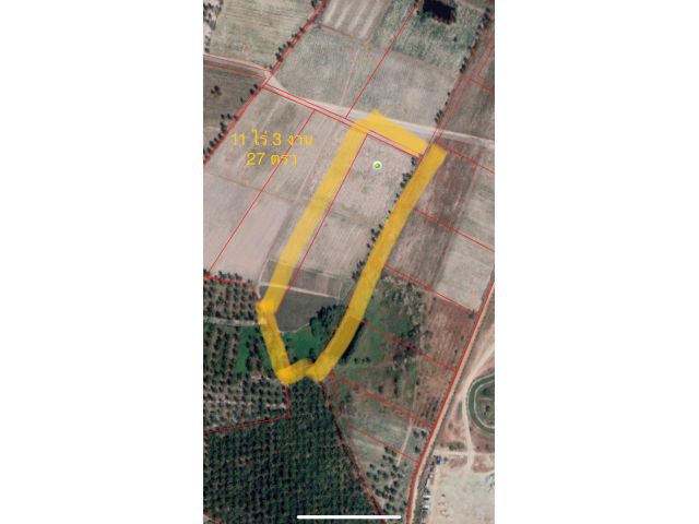 ขาย ที่ดิน ราคา ถูก ชลบุรี