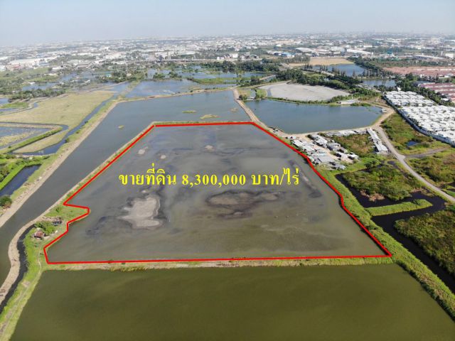 S147 ขายที่ดิน 24 ไร่  พันธ์ท้ายนรสิงห์ สมุทรสาคร  ใกล้ถนนพระรามที่ 2  ขายที่ดินสมุทรสาคร ราคาถูก