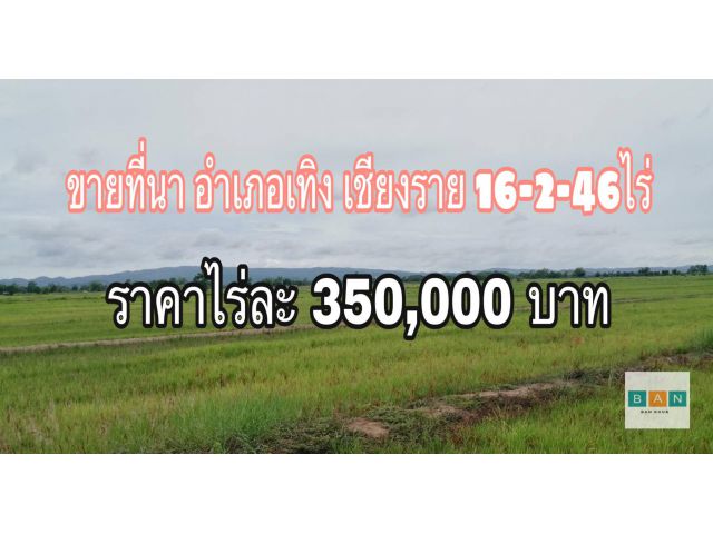 ขายนาอำเภอเทิง 16-2-46 ไร่ มีสระเก็บน้ำบรรยากาศดี