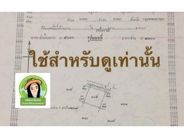 ที่ดิน 100 ตร.ว. ราคา 200,000 บาท ต.แก่งโดม/ สว่างวีระวงศ์