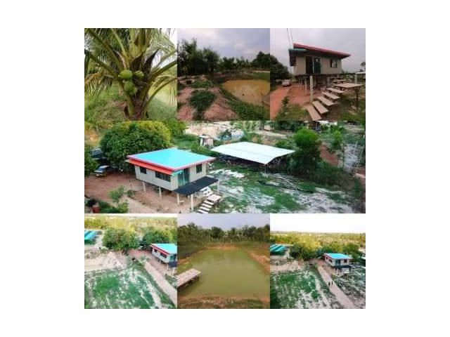 ขายที่ดินสวนเกษตรพอเพียง