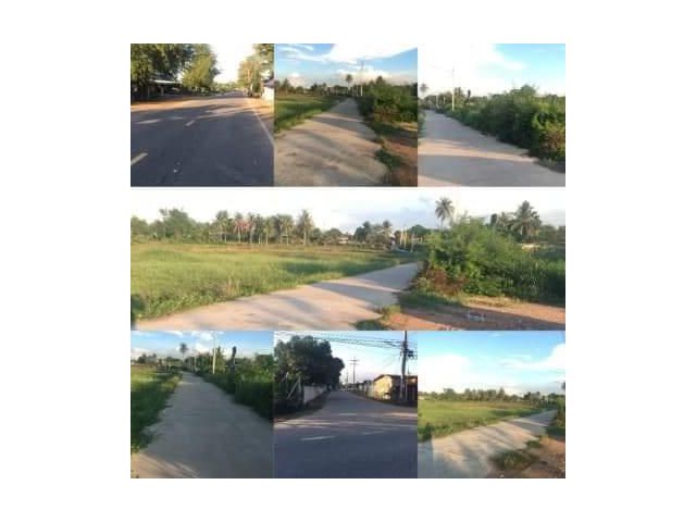 ขายที่ดินติดถนนคอนกรีต