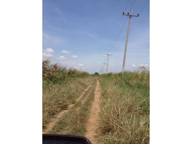ที่ดินเปล่า ซอยสวนบุปผา  อ.บางเลน จ.นครปฐม