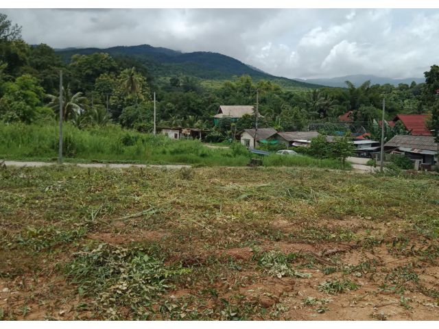ที่ดินเปล่าบนเนิน อ.แม่ริม