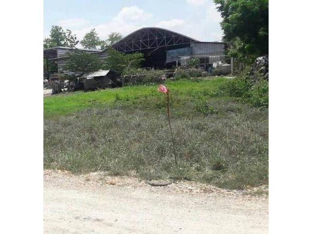 ขายที่ดินเปล่า​ 110 ตรว.แหล่งชุมชน น้ำ-ไฟ พร้อม