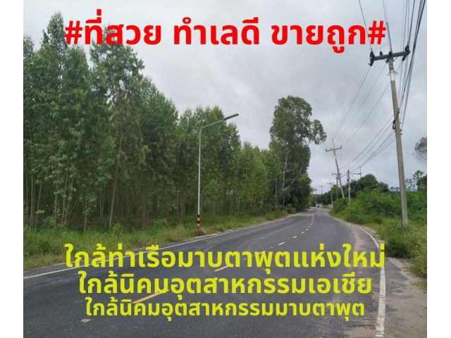 #ที่สวยขายถูก#ขายที่ดินสวยทำเลดีติดถนนลาดยาง เนื้อที่ 10 ไร่ (ที่โฉนด) พิกัด ต.พลา อ.บ้านฉาง จ.ระยอง ไร่ละ 3,000,000 บาท