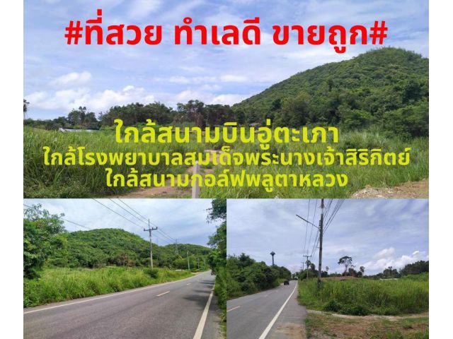 #ที่สวยขายถูก#ขายที่ดินสวยทำเลดีติดถนนดำ 4 ไร่เศษ (โฉนดพร้อมโอน) พิกัด ต.พลูตาหลวง อ.สัตหีบ จ.ชลบุรี