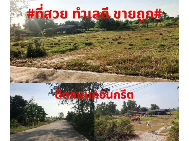#ที่สวยขายถูก#ขายที่ดินสวยทำเลดีติดถนนคอนกรีต เนื้อที่ 11-2-13 ไร่  พิกัด ต.ตะพง อ.เมือง จ.ระยอง ไร่ละ 1,200,000 บาท