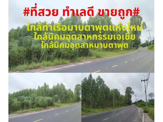 #ที่สวยทำเลดี ขายถูก#ขายที่ดินสวยติดถนนลาดยาง 10 ไร่ (ที่โฉนด) พิกัด ต.พลา อ.บ้านฉาง จ.ระยอง ไร่ละ 3,000,000 บาท