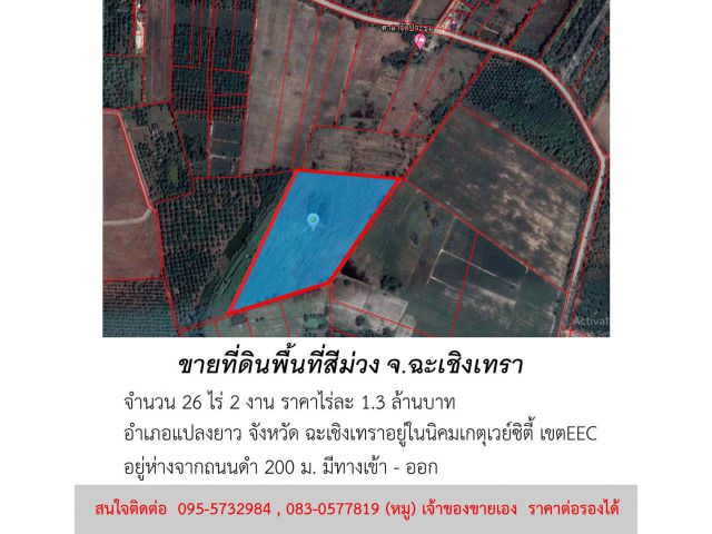 ขายที่ดิน พื้นที่สีม่วง จำนวน 26 ไร่ 2 งาน อำเภอแปลงยาว จังหวัดฉะเชิงเทรา ราคาต่อรองได้