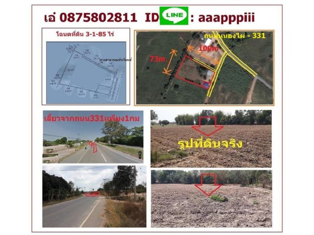 ขาย 3-1-85ไร่ ๆละ 8.5 แสน ใกล้331แค่1กม. ที่สูง ไฟฟ้า น้ำประปา ติดทาง2ด้าน ต้นไม้ใหญ่หลายต้น ปลูกบ้าน แบบเศรษฐกิจพอเพียง