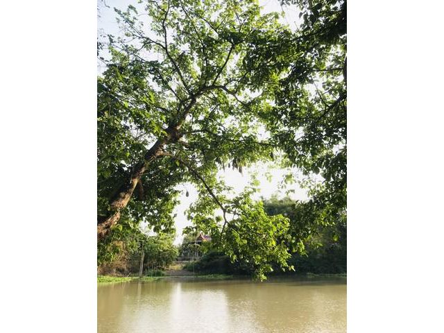 ที่ดินสวยสมราคา ติดแม่น้ำท่าจีน สุพรรณบุรี