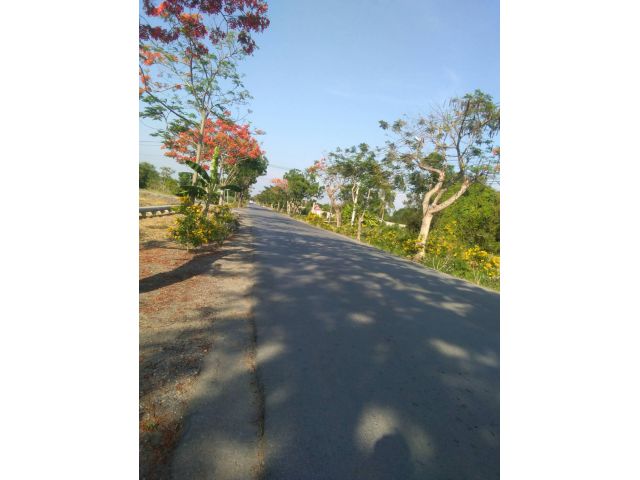 ขายที่ดินคลองสิบ หนองจอก แปลงสวย  เนื้อที่ 5 ไร่  ติดถนนกว้าง-ติดคลองใหญ่ !! ไฟสามเฟส ราคาโควิด !!! 3 ล้านต่อไร่