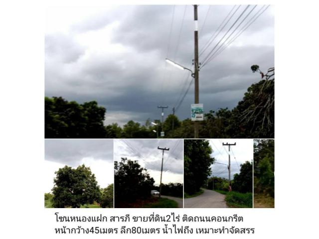 โซนหนองแฝก สารภี ขายที่ดิน2ไร่ ติดถนนคอนกรีต หน้ากว้าง45เมตร ลึก80เมตร น้ำไฟถึง เหมาะทำจัดสรร เสนอขายไร่ละ 1,300,000ล้าน