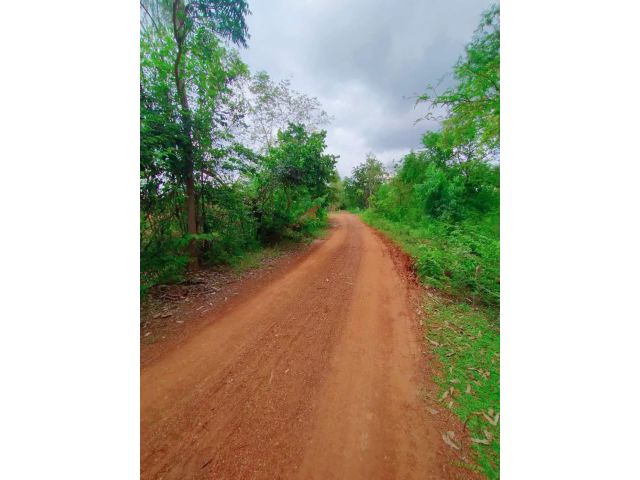 คุ้มกว่านี้มีอีกไหม!!! ขายด่วนที่ดินหล่มสักเพชรบูรณ์ เพียงไร่ละ 1.3 แสน(ฟรีค่าโอน) เนื้อที่ 26 ไร่ 1 งาน 12 ตรว. ต.ท่าอิบุญ อ.หล่มสัก จ.เพชรบูรณ์