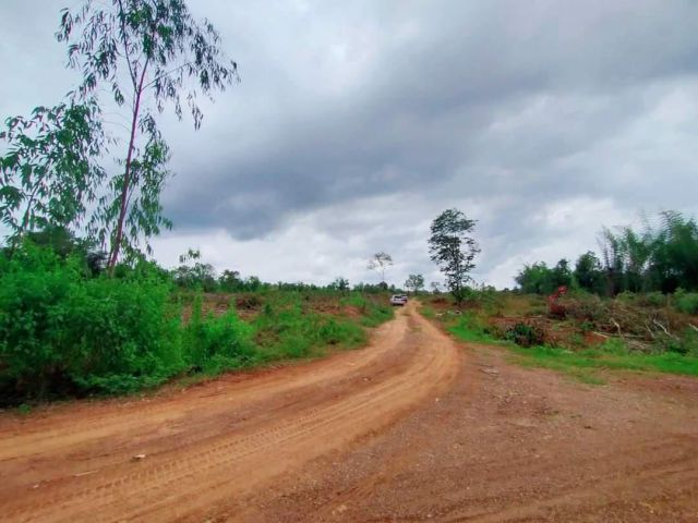 คุ้มกว่านี้มีอีกไหม!!! ขายด่วนที่ดินหล่มสักเพชรบูรณ์ เพียงไร่ละ 1.3 แสน(ฟรีค่าโอน) เนื้อที่ 26 ไร่ 1 งาน 12 ตรว. ต.ท่าอิบุญ อ.หล่มสัก จ.เพชรบูรณ์