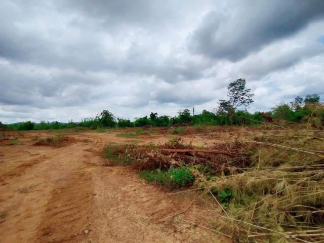 คุ้มกว่านี้มีอีกไหม!!! ขายด่วนที่ดินหล่มสักเพชรบูรณ์ เพียงไร่ละ 1.3 แสน(ฟรีค่าโอน) เนื้อที่ 26 ไร่ 1 งาน 12 ตรว. ต.ท่าอิบุญ อ.หล่มสัก จ.เพชรบูรณ์