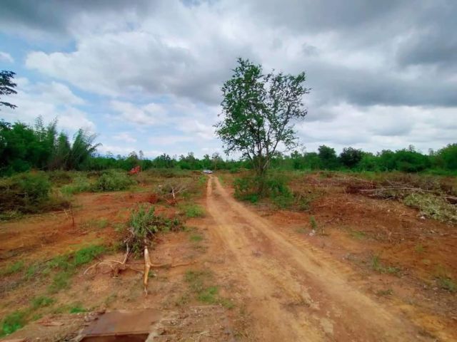 คุ้มกว่านี้มีอีกไหม!!! ขายด่วนที่ดินหล่มสักเพชรบูรณ์ เพียงไร่ละ 1.3 แสน(ฟรีค่าโอน) เนื้อที่ 26 ไร่ 1 งาน 12 ตรว. ต.ท่าอิบุญ อ.หล่มสัก จ.เพชรบูรณ์