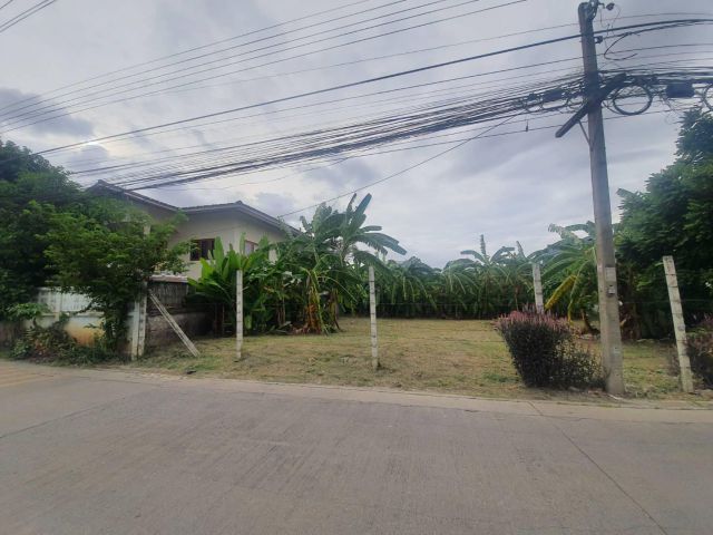 ขายที่ดิน 100 ตรว. ตรวละ.55,000 บาท ติดถนนคอนกรีต ใกล้ถนนพระยาสุเรนทร์ 200 เมตร