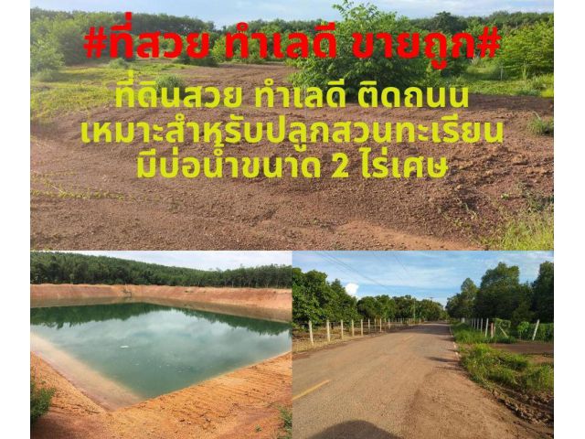 #ที่สวยทำเลดี ขายถูก#ขายที่ดิน 51-2-11ไร่ ต.กองดิน อ.แกลง จ.ระยอง (โฉนด2แปลง)ไร่ละ 550,000 บาท