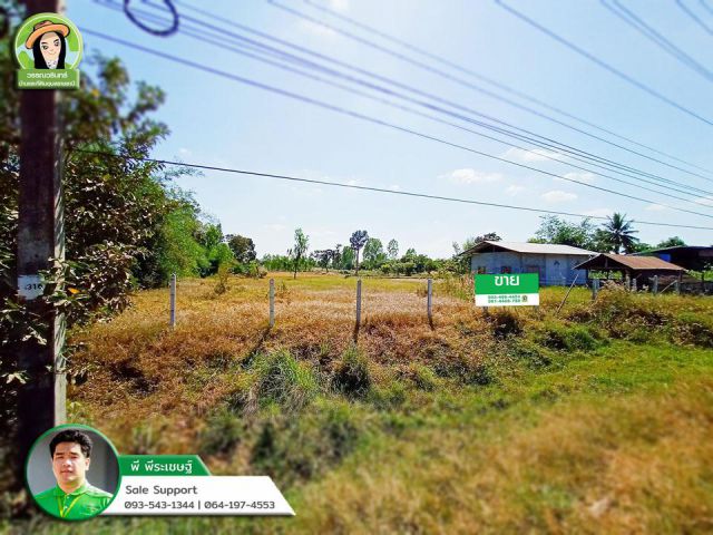 ที่ดินติดถนนทางหลวง 217 ฝั่งเข้าเมืองพิบูล 1.5 ล้านบาท/ไร่