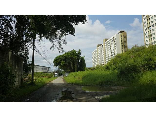 ขาย ที่ดินลาซาล 41 300 วา ถูกมาก