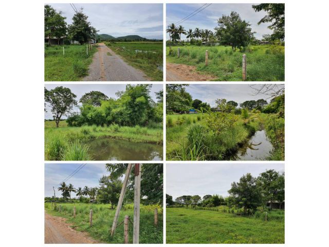 ที่สวนปลูกต้นไม้ไว้เต็มพื้นที่ มีบ่อน้ำ เนื้อที่ 200 ตรว.ที่โฉนด น้ำไฟพร้อม ยกแปลง 390,000 บาท