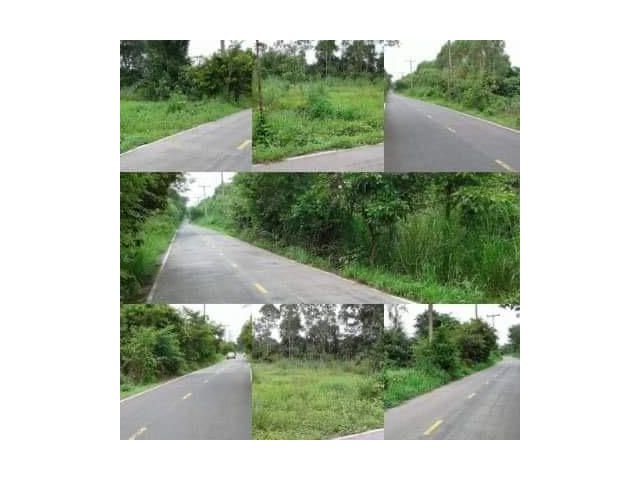 ขายที่สวน มีวิวเขา ติดถนนลาดยาง เนื้อที่ 3 ไร่ 2 งานกว่า