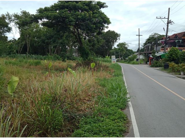 ที่ดินติดถนนหลักบ้านดอนแก้ว อ.แม่ริม