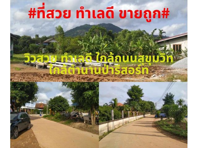 #ที่สวยขายถูก#ขายที่วิวเขาสวยทำเลติดถนน ต.ตะพง อ.เมืองระยอง ห่างสุขุมวิท 300 เมตร เนื้อที่ 1ไร่ 1งาน ยกแปลง 2,700,000 บาท