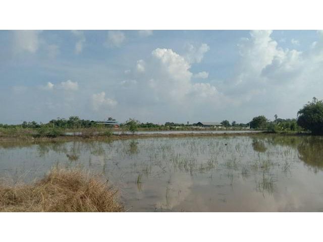 ที่ดินสวยสมราคา ที่ดินตำบลบ่อเงิน ปทุมธานี
