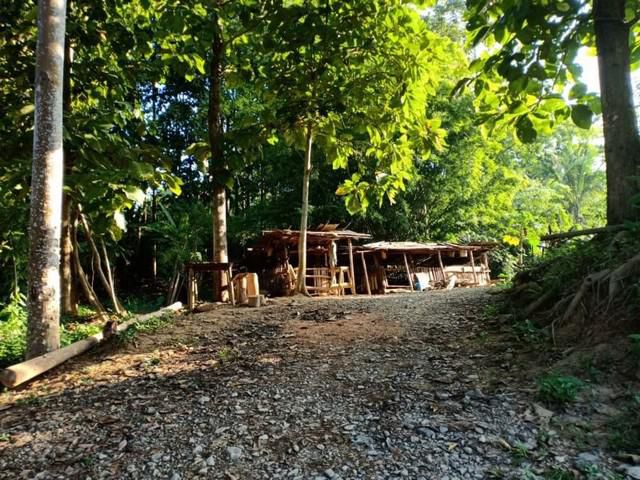 ที่สวยสมราคา ที่ดินติดลำธาร จังหวัดน่าน 