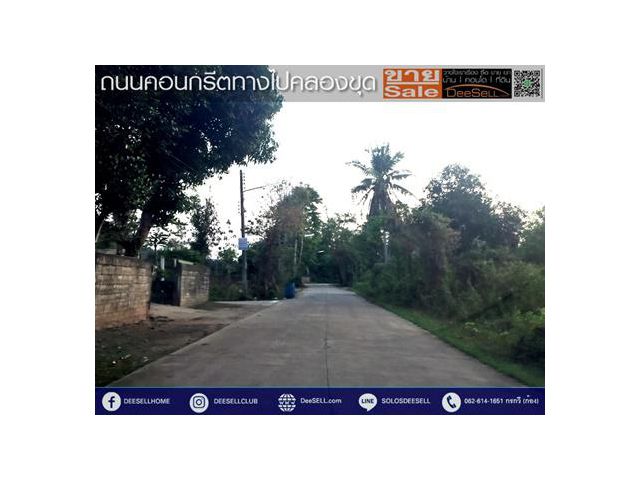 ขายที่เขตผังเมืองสีส้มจุดขาว แกลง ทางเกวียน2773ตรว