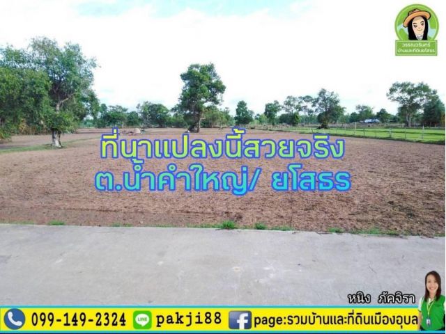 ที่นาแปลงสวย 3 ไร่กว่า  บ้านดอนหัวหมู ต.น้ำคำใหญ่ ใกล้​ ​อ.เมืองยโสธร