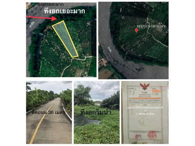 ขายที่ดิน ติดแม่น้ำท่าจีน ฝั่งแหลมดินงอก กระทุ่มแบน สมุทรสาคร เจ้าของขายเอง