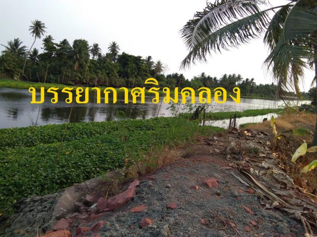 ขายที่ดินติดคลองดำเนิน10ไร่ ที่ดินด้านริมคลองทำเขื่อนแล้วถมไปแล้วบ่างส่วน หน้าติดถนน+หลังติดคลอง