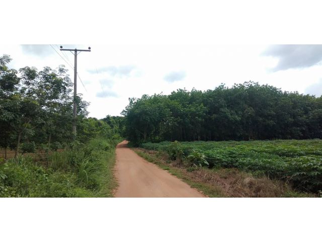 ขายที่ดินสวย เหมาะทำบ้านสวน 3 ไร่ อ.เชียงคาน จ.เลย