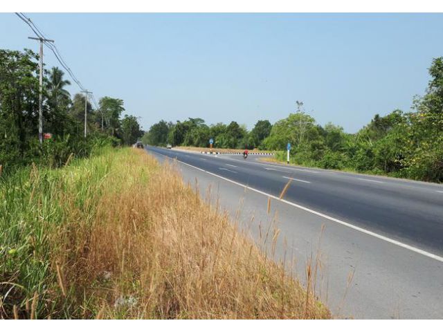 ขาย ที่ดิน ใกล้ทางหลวงสายกระบี่-กาญจนดิษฐ์ ถนนทางหลวง 401 อ.กาญจนดิษฐ์ จ.สุราษฎร์ธานี