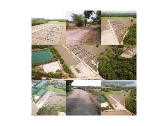 แบ่งขายที่ดินอำเภอเมืองปราจีนบุรี  เนื้อที่ 1 ไร่