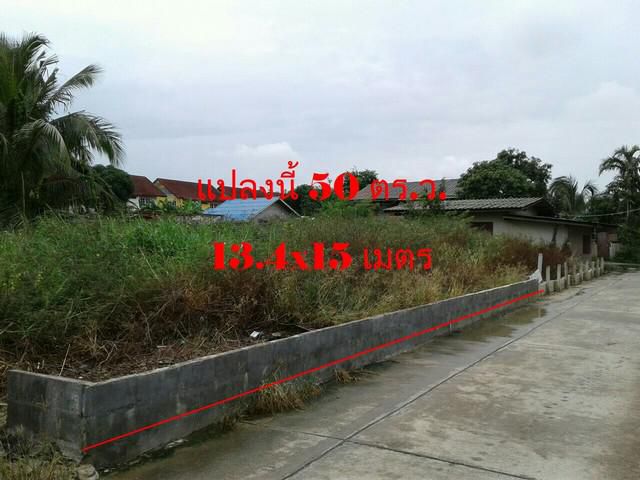 ที่ดิน 50 ตรว. ม.เพชรมลฑลกรีน บางบอน5